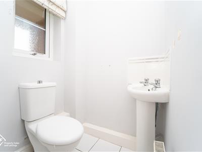 Picture 24